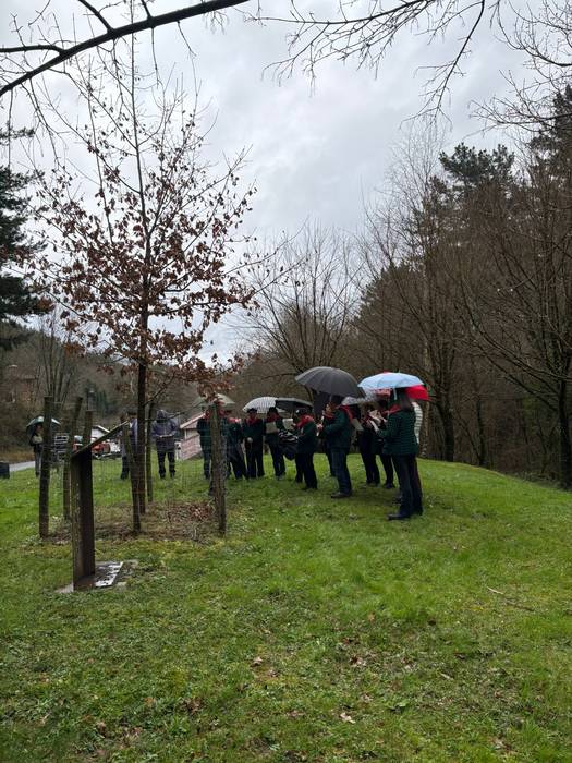 Gernikako zuhaitzaren kimua  23 1770844225455