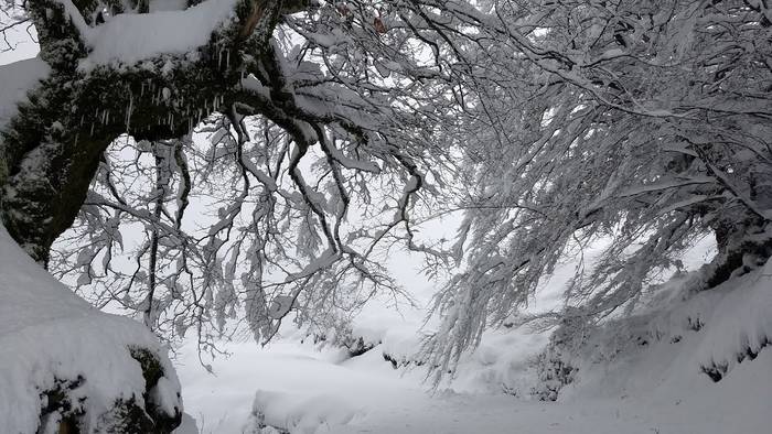 Gorbeialdea eta Orozko, elurtuta