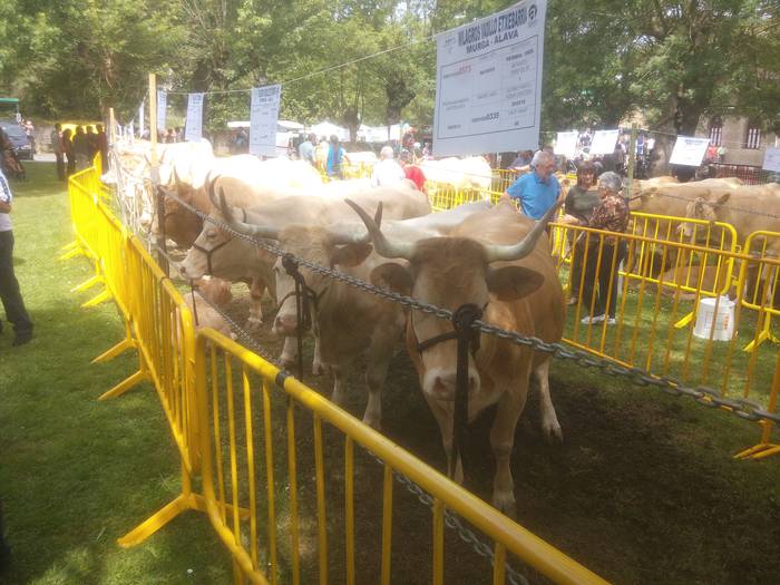 San Isidro Azokak jende ugar 41 1494852498165