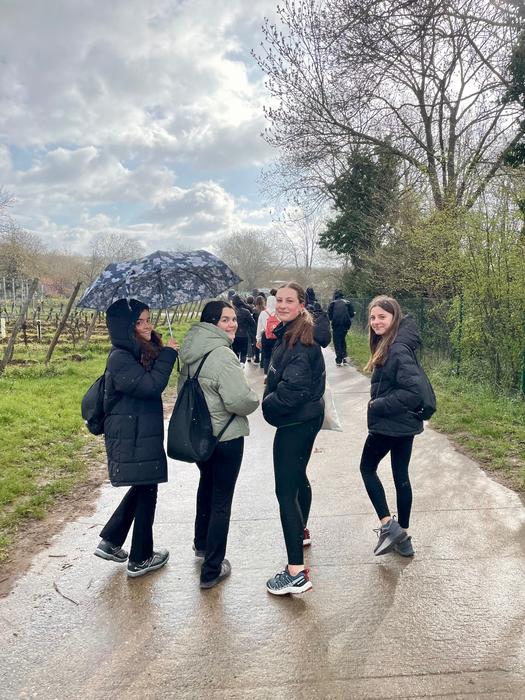 Frankfurten, elkartasun last 10 1774850400097