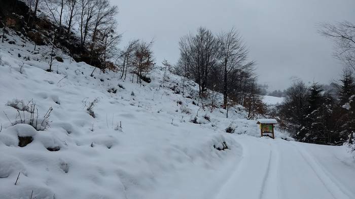 Gorbeialdea eta Orozko, elurtuta