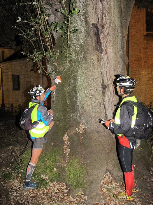 24 orduz eskualdeko mendiak, 2 1505803322627