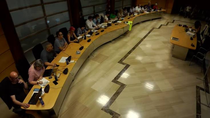 Bost orduko plenoa 28 inbertsio proposamen bozkatzeko (eta batzuk soilik onartzeko)