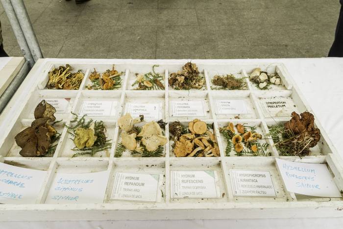 Gastronomia eta mikologia uz 7 1509955021644