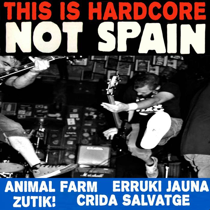 'This is hardcore, not Spain' disko partekatua argitaratu dute Erruki Jauna eta Zutik! taldeek