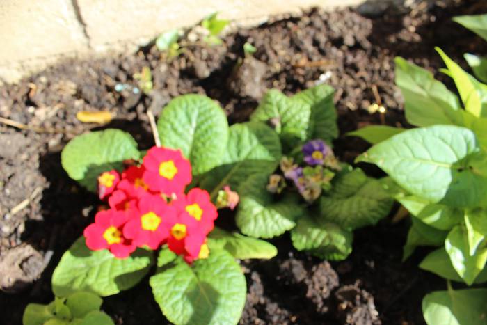 ARGAZKIEKIN JOLASEAN 19 1510133712569