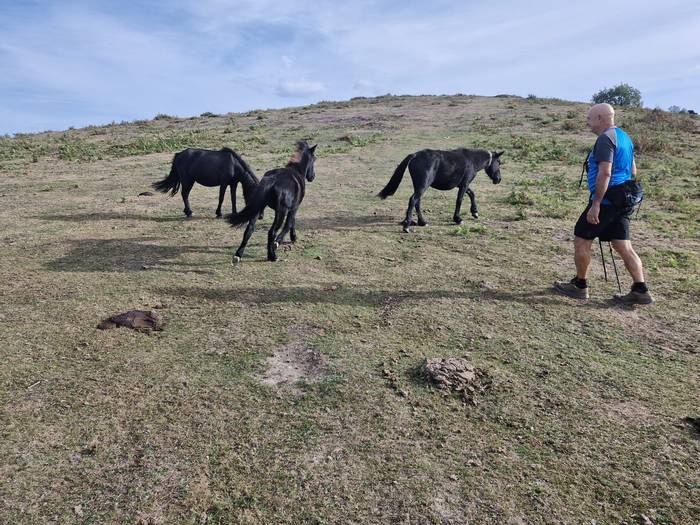 Mendi martxarekin abiatu dut 4 1758391852156