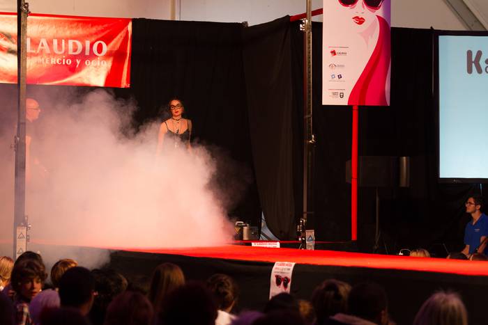 Laudioarrak izan ziren model 134 1508743151181