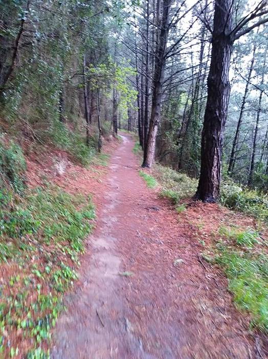 Apirilaren 22an Deba eta Zum 9 1523285733765