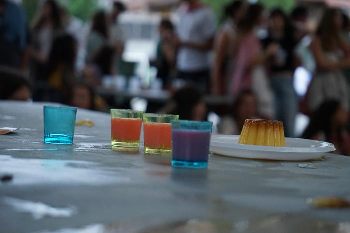 Flan-xurga lehiaketak gatza  47 1756313587533