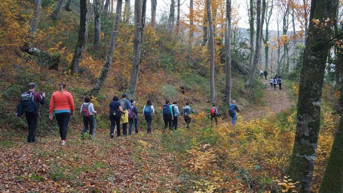 Omenaldiek bereziki hunkigar 68 1765403031027