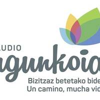 Herriko Nagusien Kontseiluaren talde eragilearen osaketa