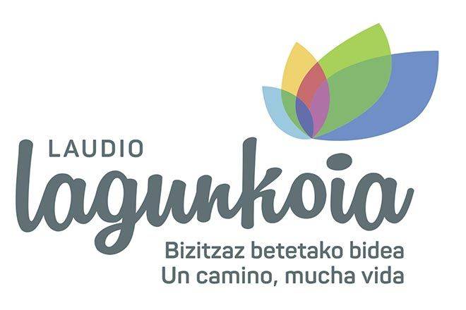 Herriko Nagusien Kontseiluaren talde eragilearen osaketa