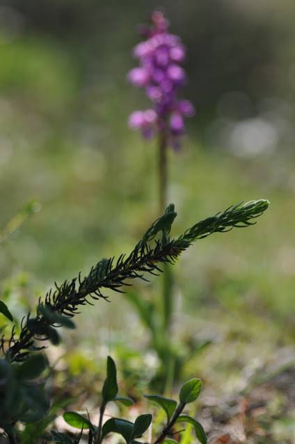 Itzultzeak 9 1619015039919