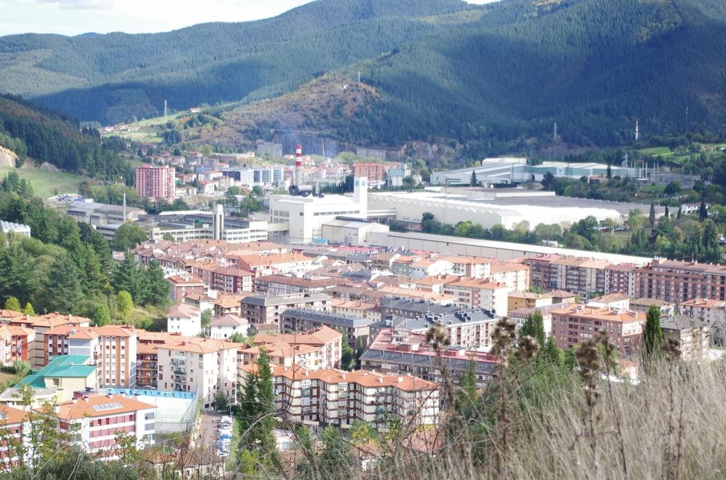 Gizarte-larrialdietarako laguntzek 202 familia babestu dituzte 2015ean