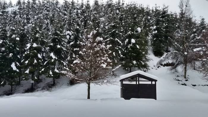 Gorbeialdea eta Orozko, elurtuta