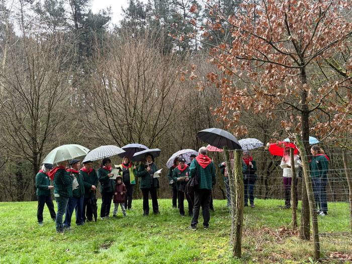 Gernikako zuhaitzaren kimua  15 1770844190077