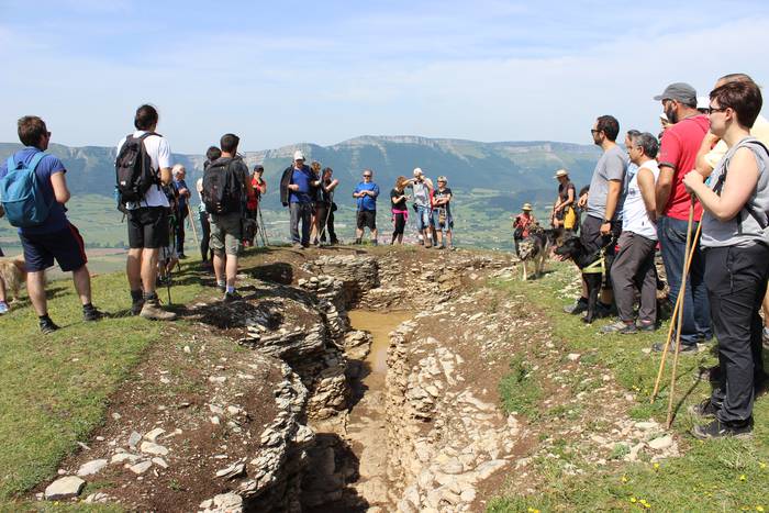 San Pedron gertatutako sarra 22 1495994822542