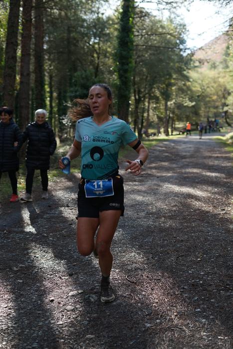 Giro paregabea sortu du herr 212 1762693470444