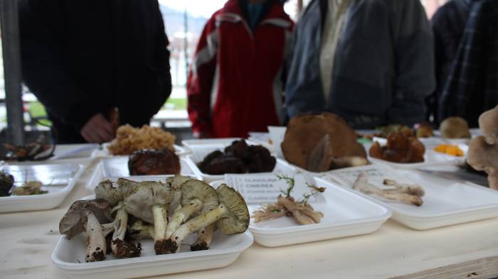 Gabonetako elkartasun azokak 23 1513599343458