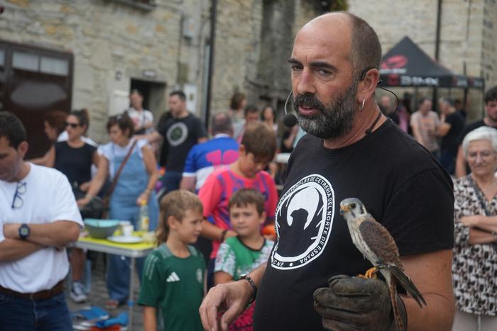 Falkoneria ikuskizuna antola 10 1752933597421