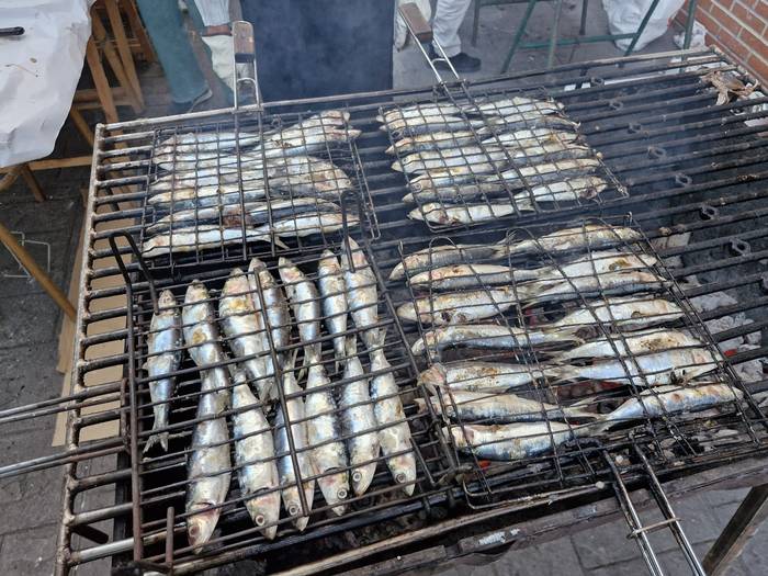 Auzolana goraipatuta eman di 14 1754045077223