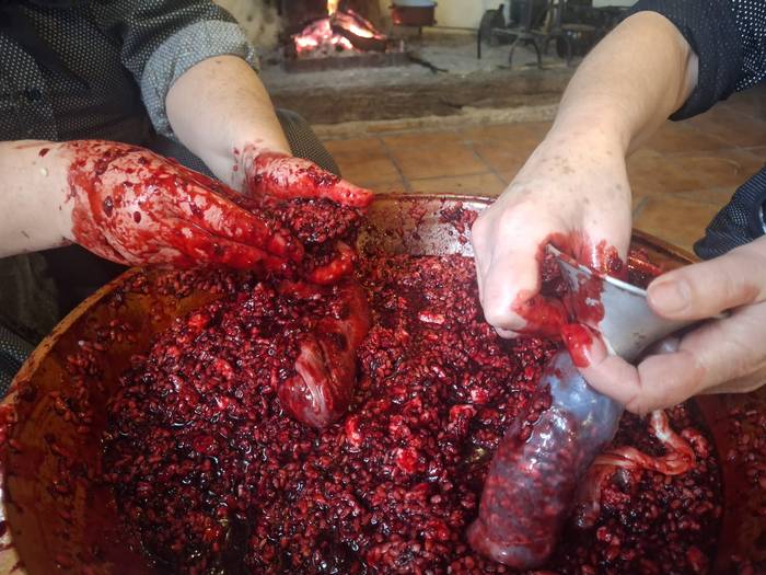 Txerrikien kultura zabaldu d 1 1763935042336