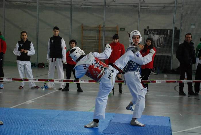 Zilarra eskuratu zuten laudi 4 1516989481840