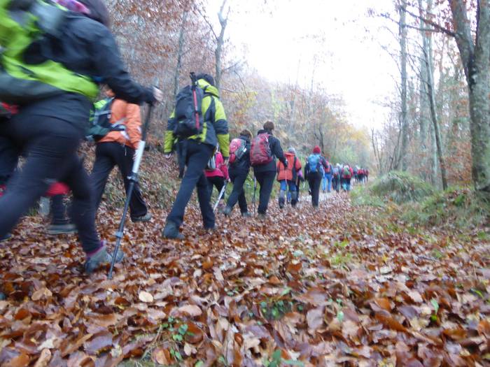 Laino artetik Santa Elena me 2 1511892454688