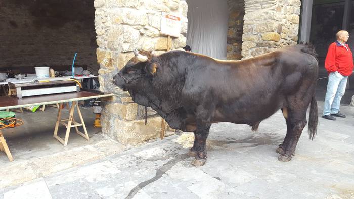 Landa mundua herrigunera jai 8 1510425313653