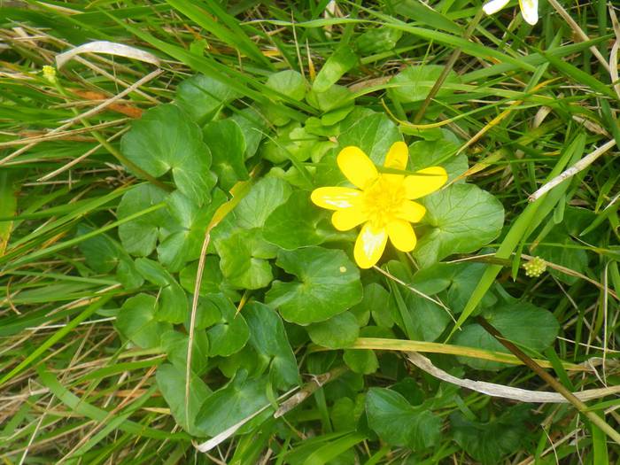 Agur esan baino arinago... 1 1523298161787