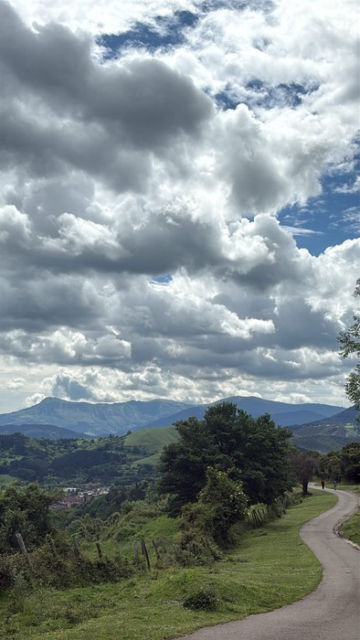 Arraño
