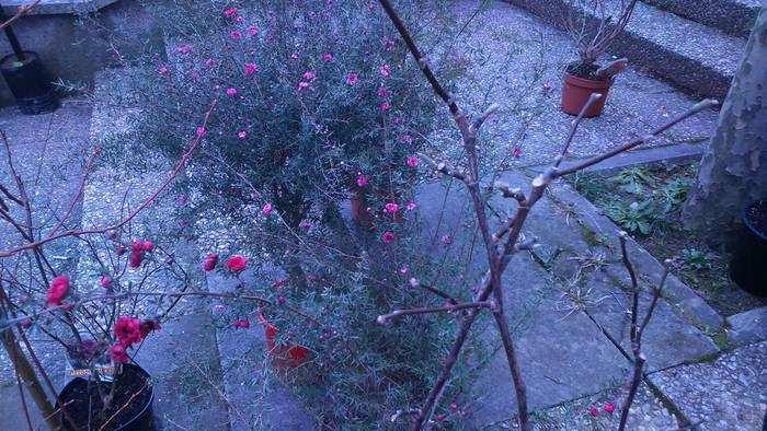 Tokiko ekoizleak eta enkatea 19 1485165333733