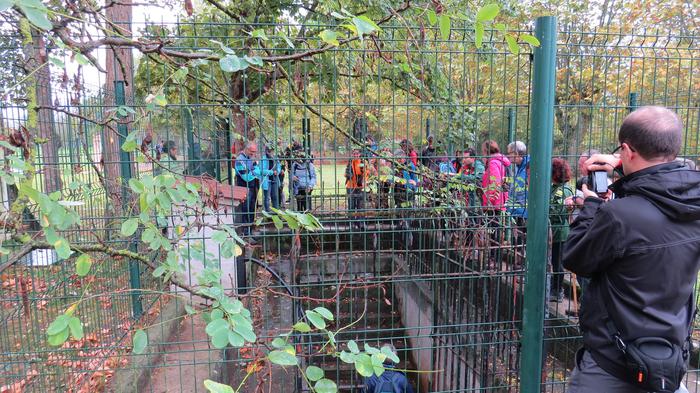 Herriko egitura geologikoa e 21 1508827175411