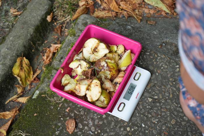 Kuadrillak arduratu dira San 37 1755424342754