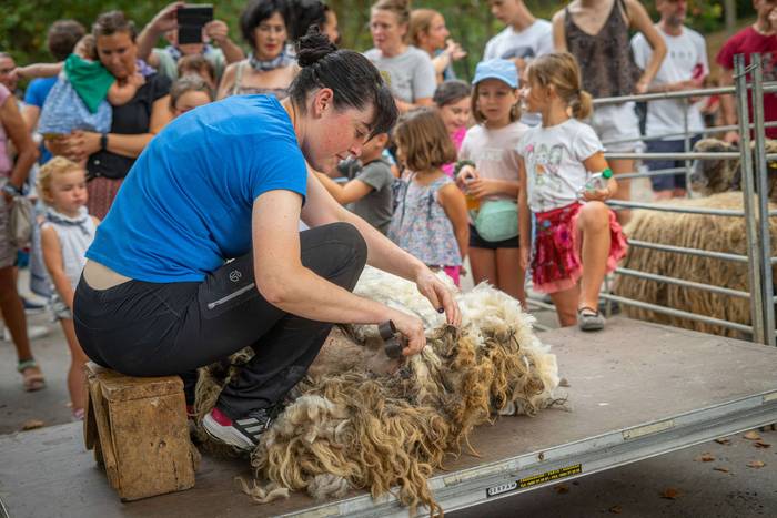 San Roke inguruan eman diete 14 1755434198859