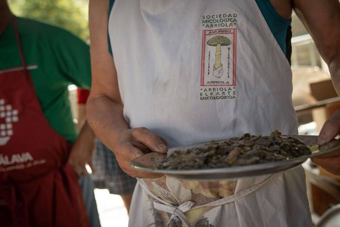 Kuadrillak protagonista Amur 30 1755188538830