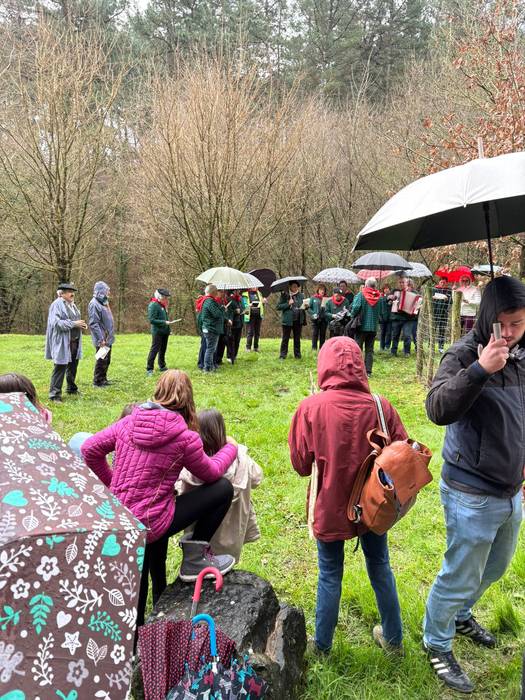 Gernikako zuhaitzaren kimua  24 1770844230104