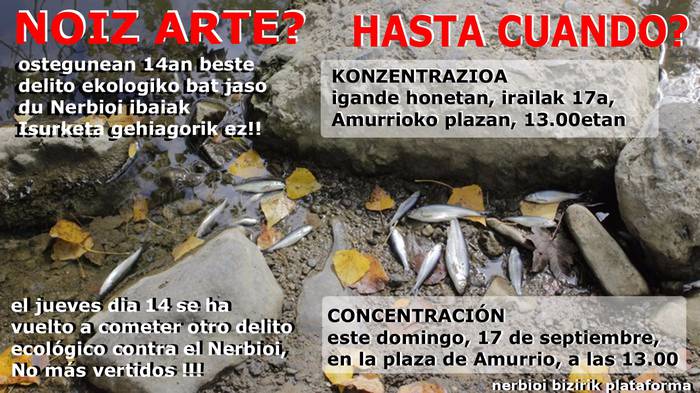 Nerbioi ibaiko arrainen heriotzaren aurkako elkarretaratzea