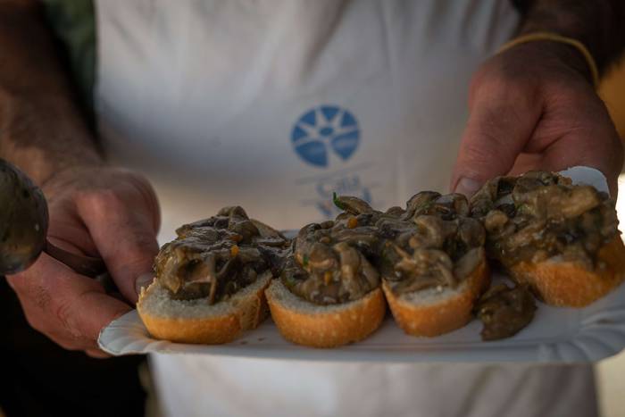 Kuadrillak protagonista Amur 29 1755188536804