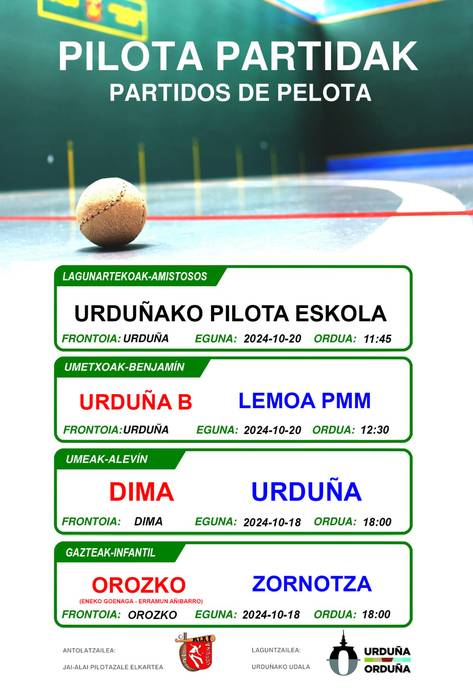 Pilota partidua