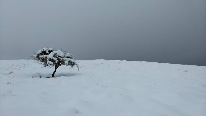Gorbeialdea eta Orozko, elurtuta