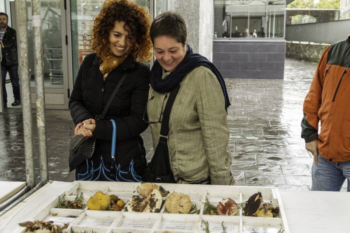 Gastronomia eta mikologia uz 31 1509955177884