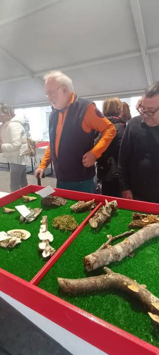 Ziza garaia iritsi da Urduña 26 1760971513696