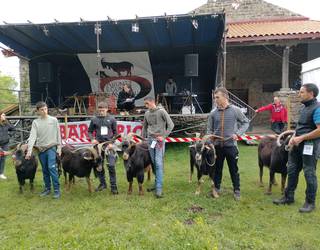 Ahuntz Egunaren XXVI. edizioa ospatuko dute Baranbion gaur eta igandean