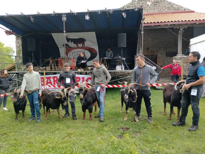 Ahuntz Egunaren XXVI. edizioa ospatuko dute Baranbion gaur eta igandean