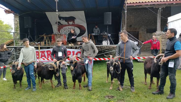 Ahuntz Egunaren XXVI. edizioa ospatuko dute Baranbion gaur eta igandean