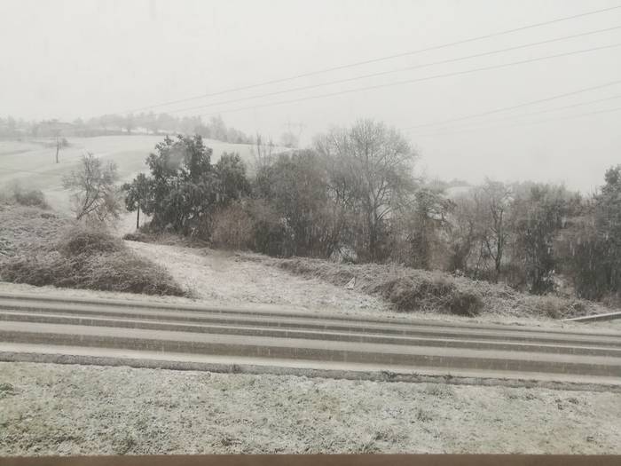 Iritsi da elurra Aiaraldera