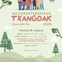 Kulturartekotasun txangoa Artziniegara