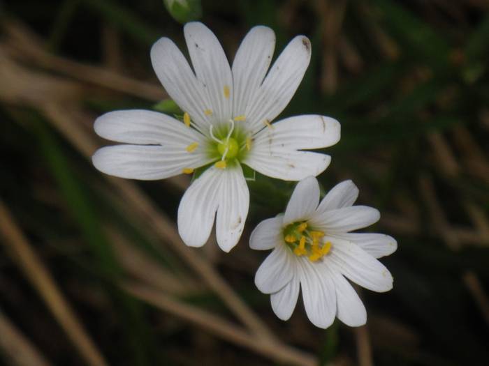 Agur esan baino arinago... 12 1523298230401